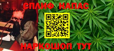 ПСИЛОЦИБИНОВЫЕ ГРИБЫ Донской