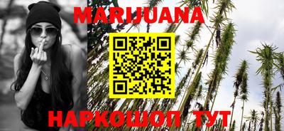 крисы Дубна