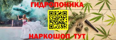 крисы Дубна
