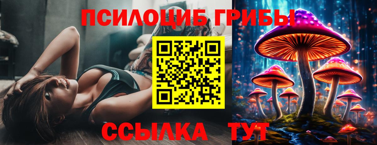Муром  сколько стоит  Вход с VPN  Галлюциногенные грибы мухоморы 